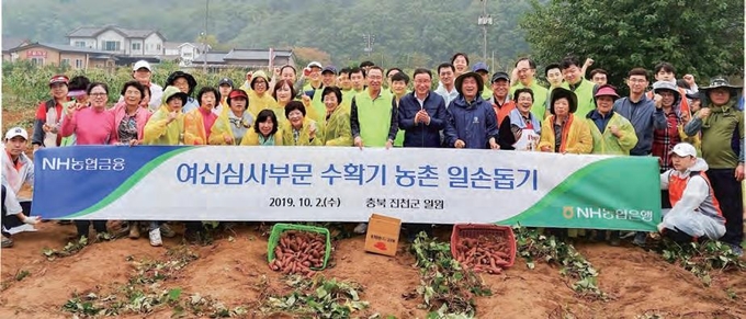 고구마 수확에 나선 송수일 부행장(형광색 조끼 입은 사람 오른쪽)과 김태종 농협중앙회 충북지역본부장, 박기현 진천농협 조합장 등 봉사단 _ 농협 제공