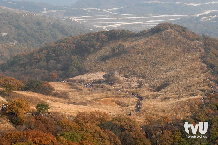 포천 명성산 억새 축제 