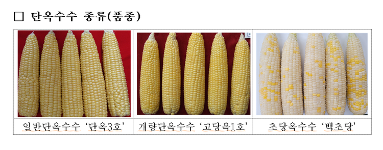 사진출처_ 농촌진흥청 