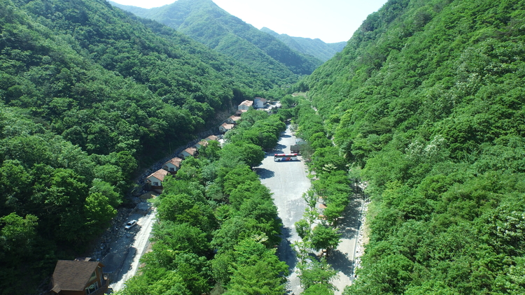금산산림문화타운_금산군 제공 