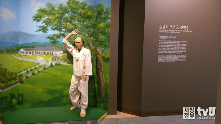 신한승 (택견을 체계화한 인물)