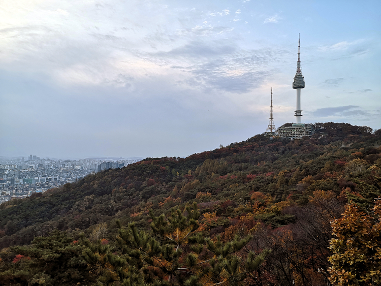 서울 남산_게티이미지뱅크