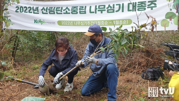 황칠나무 묘목을 심고 있는 이영애 지방자치연구소(주) 대표(왼쪽)와 이강오 한국임업진흥원장(오른쪽) 