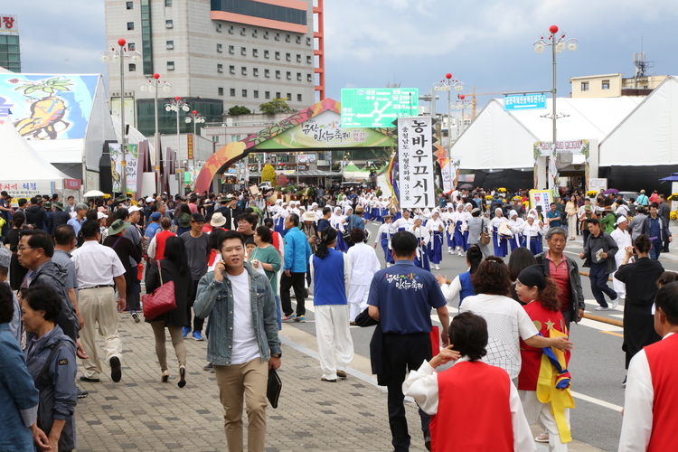 지난 금산인삼축제_ 금산군제공 