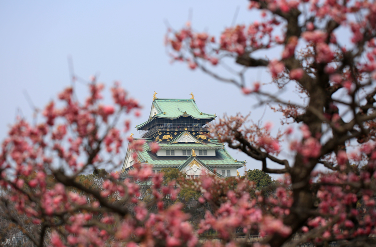사진출처_ Getty Images Bank (본 이미지는 기사와 관련이 없습니다)