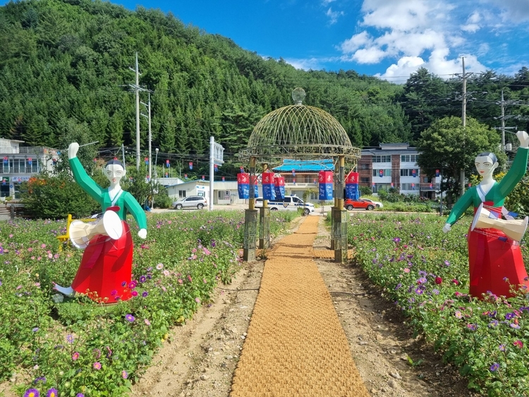 사진 평창군 제공 
