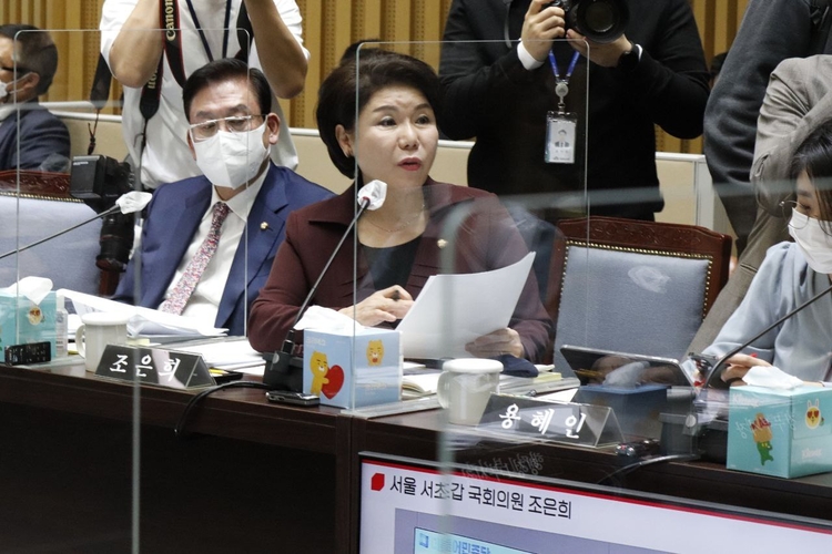 서울시 국정감사에서 질문하고 있는 조은희 국회 행정안전위원회 위원