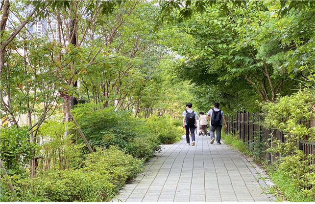 성동구 무학중, 무학여고 통학로 녹화 사례_ 사진 : 서울시 제공 