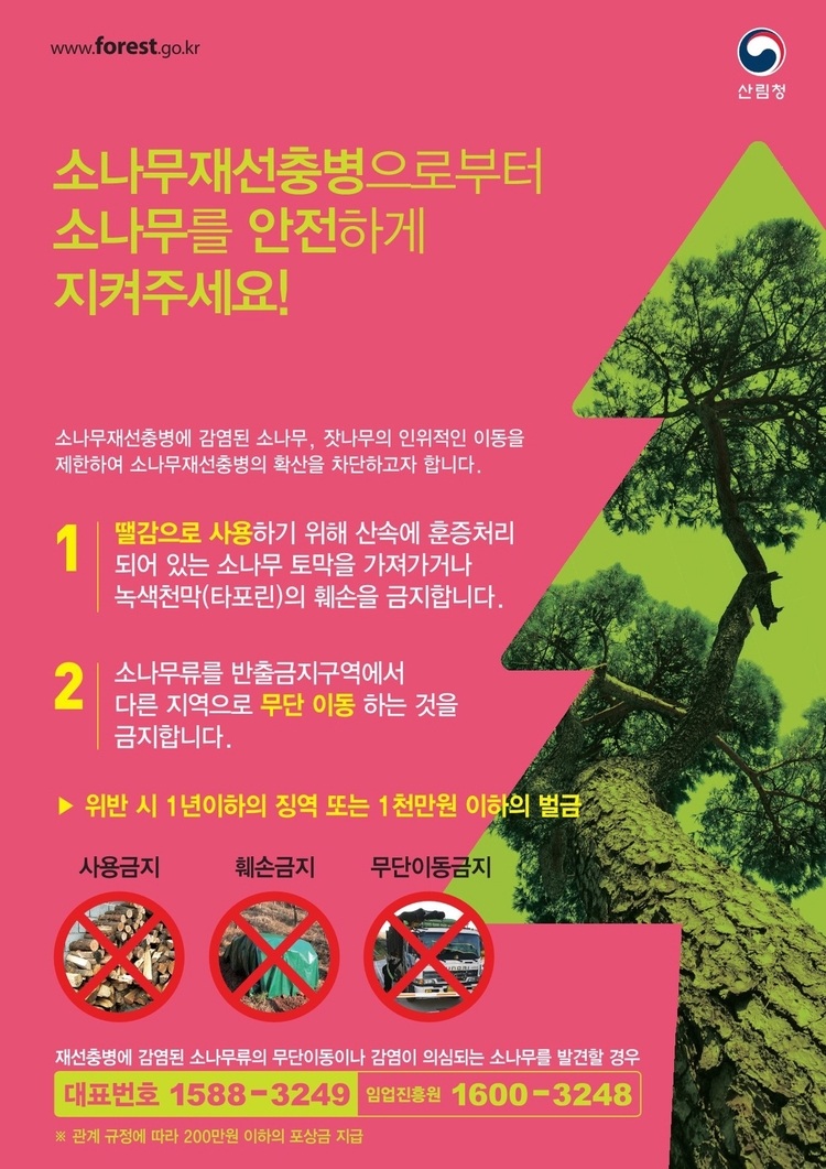 산림청 제공 