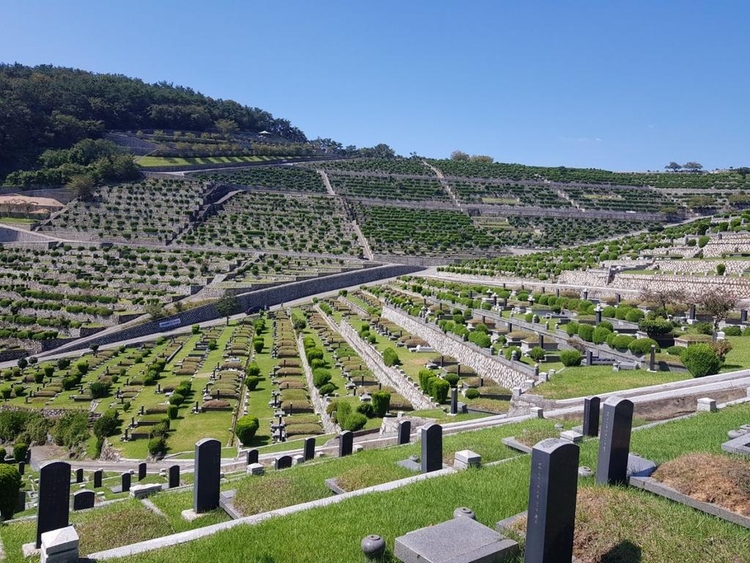 공원묘지 사진. 경남 김해시가 공원 묘지에서 플라스틱 조화를 사용하지 못하도록 하는 제도적 근거 마련하는 데 성과를 거뒀다. 사진 : 김해시 제공