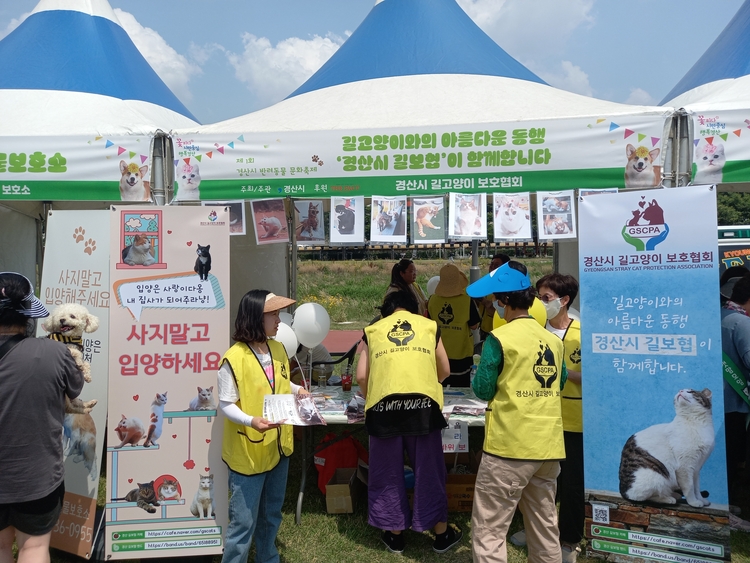 제1회 반려동물 문화축제에 참가한 경산시 길고양이 보호협회 홍보 부스 