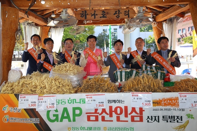 GAP 금산인삼 판촉행사