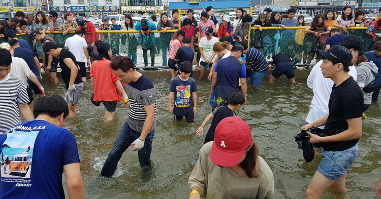 홍성군 남당항대하축제 사진 = 홍성군 제공 
