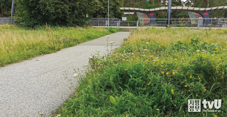 꽃가루매개곤충도로(Pollinator Highway) © www.putukavail.ee