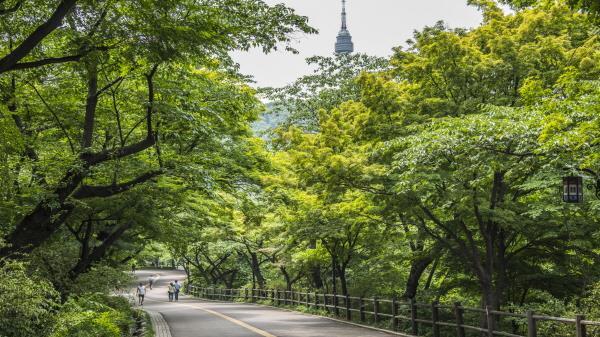 남산공원 도시숲<사진=산림청.>