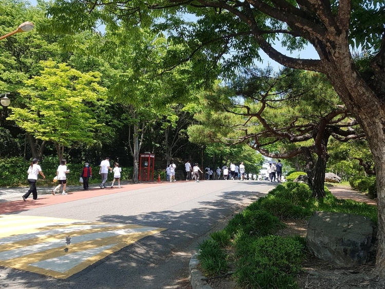  대구 달서구 두류공원 도시숲<사진=산림청.