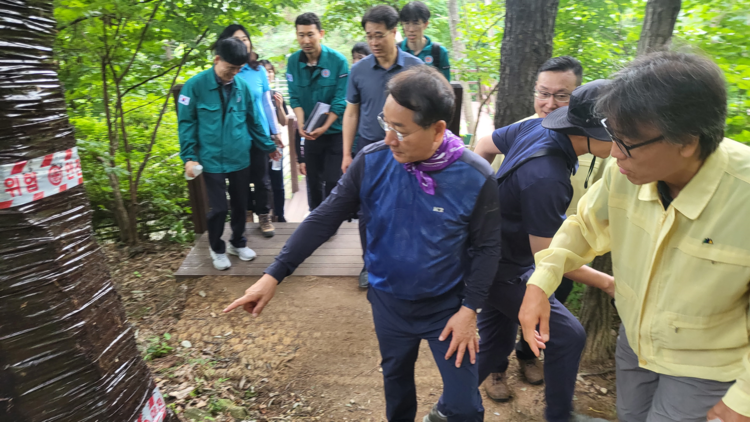 곤충 대발생에 대한 선제적 대응체계를 재점검한다<사진=환경부>