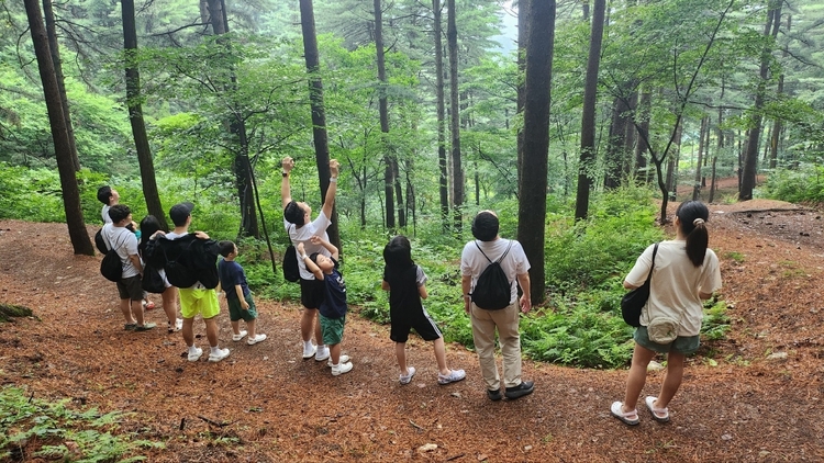 포천 하늘아래치유의 숲<사진=경기도>