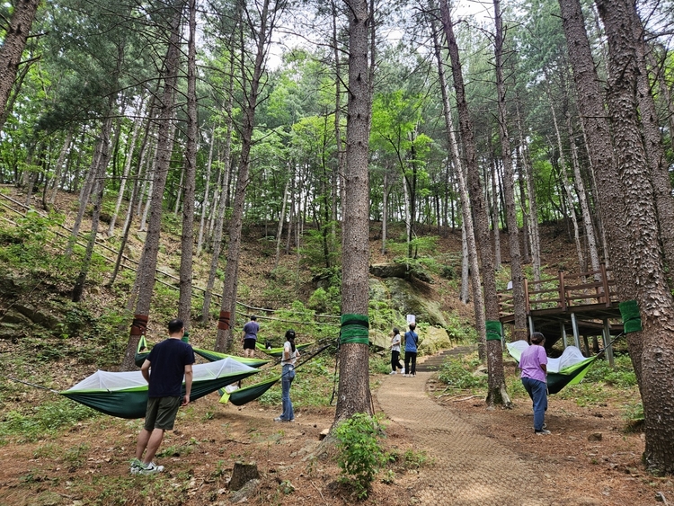 동두천 치유의 숲 체험시설<사진=경기도>