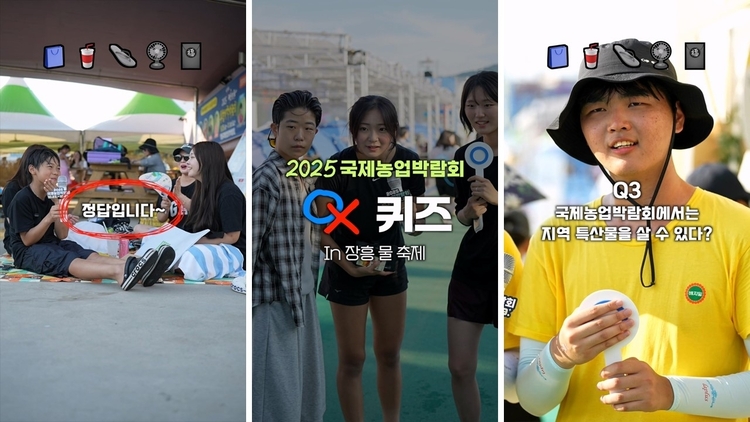 IAE로드퀴즈쇼-장흥편<사진=전남도청