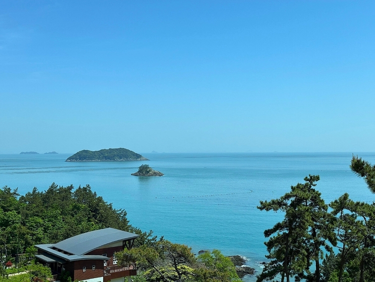진도휴양림 전경<사진=산림청>