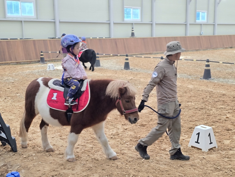 경기도는 어린이 말 체험을 전액 무료로 진행하고 있다<사진=경기도>