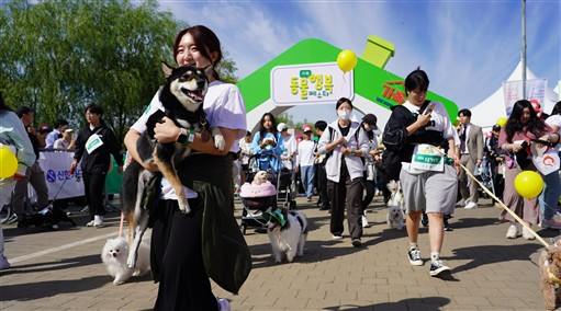 동물행복런(동행런) 행사 모습<사진=서울시>