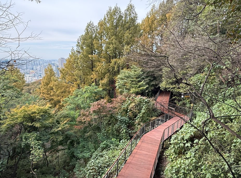 맑은 하늘 아래 남산의 싱그러움을 고스란히 느끼며 걸을 수 있는 하늘숲길<사진=서울시>