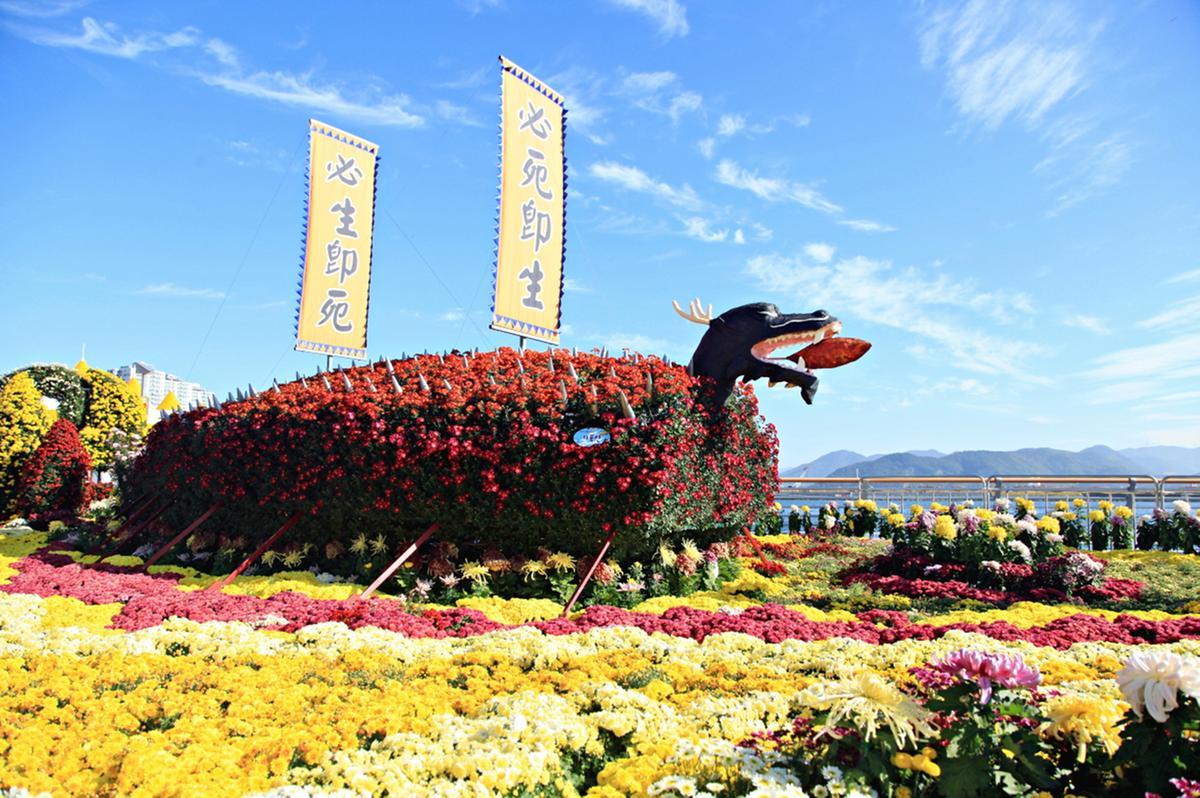 '국화에 이끌려 가을을 만나다' 마산가고파국화축제 11월 1일 개막 <사진=창원특례시>