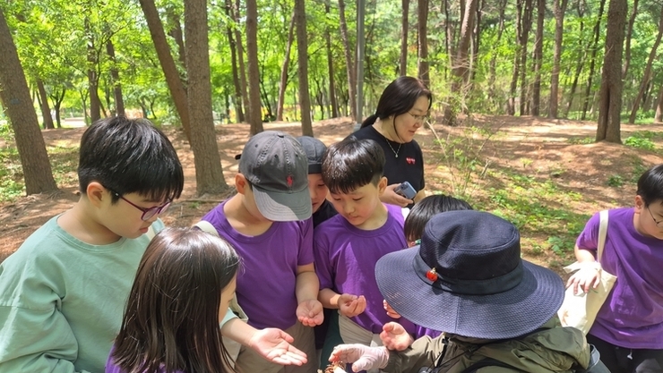 “숲체험 하며 우리들은 자라요” [초등생 현장학습]