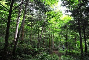 함께 떠나요 농촌으로...진정한 쉼이 있는 느린 여행지 28곳