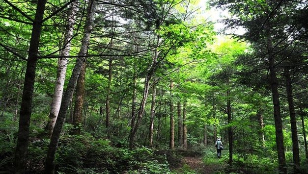 함께 떠나요 농촌으로...진정한 쉼이 있는 느린 여행지 28곳