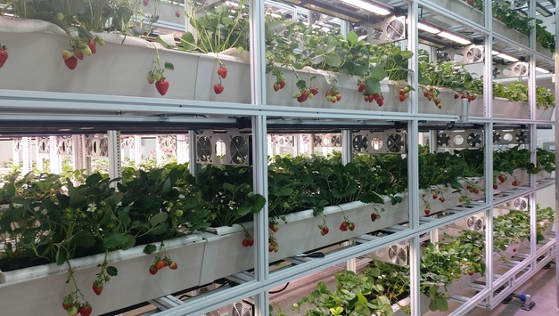 대전 도심에 농업이 자란다 [월간지방정부 11월호 기획]