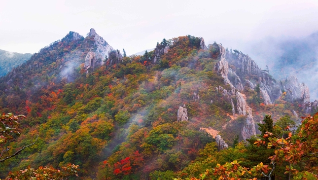 인제군, 2025 제8회 미시령힐링가도 전국사진공모전 대상에 어승완씨 ‘공룡능선의 비경’