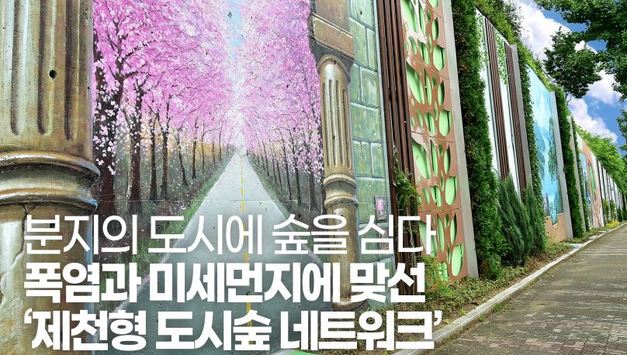 분지의 도시에 숲을 심다 [월간지방정부 1월호 기획]