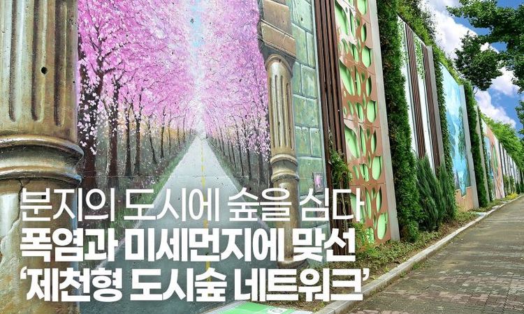 분지의 도시에 숲을 심다 [월간지방정부 1월호 기획]