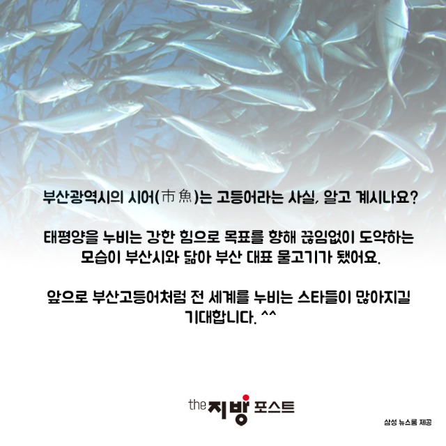 카드뉴스_부산연예인_07.jpg