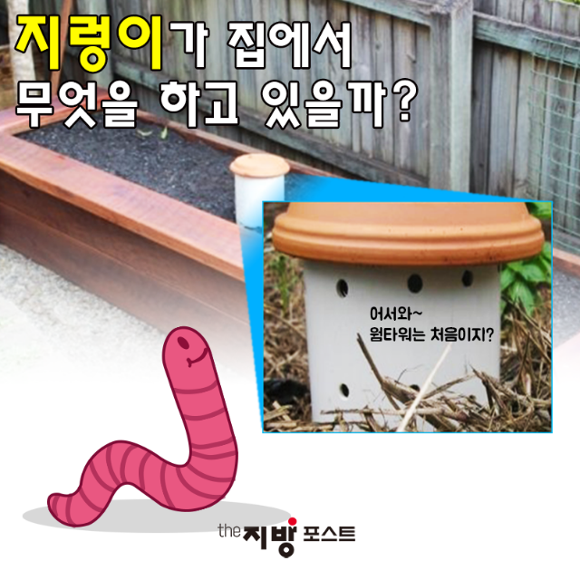 카드뉴스_지렁2_0.png