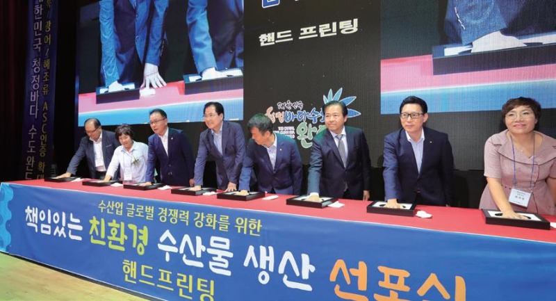 완도 7.jpg
