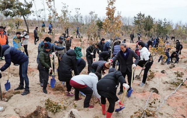 신안군.jpg